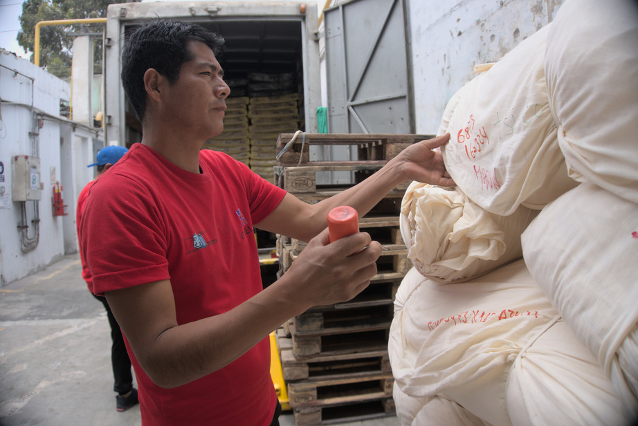 PROCESO-ROTULACION.jpg